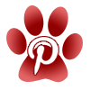 First Animal Hospital - Veterinarian - Bradenton, FL - Pinterest