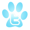 First Animal Hospital - Veterinarian - Bradenton, FL - Twitter