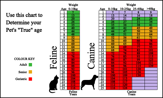 First Animal Hospital - Veterinarian - Bradenton, FL - Age Chart
