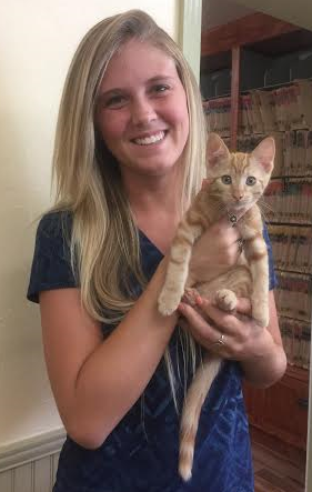 person holding yellow cat