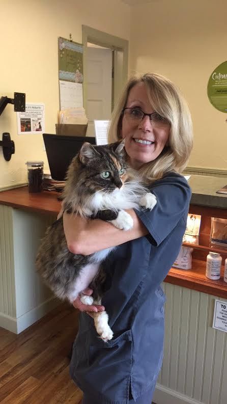 person holding cat