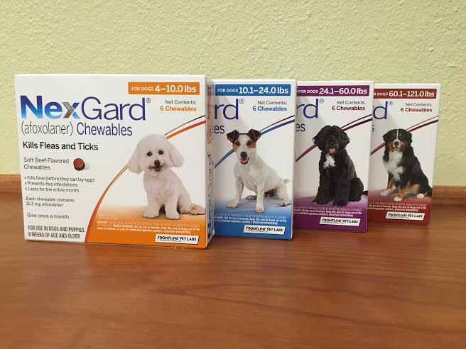 Nexguard is available for purchase at Pet First Animal Hospital in Bradenton, FL
