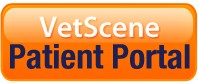 patient portal button