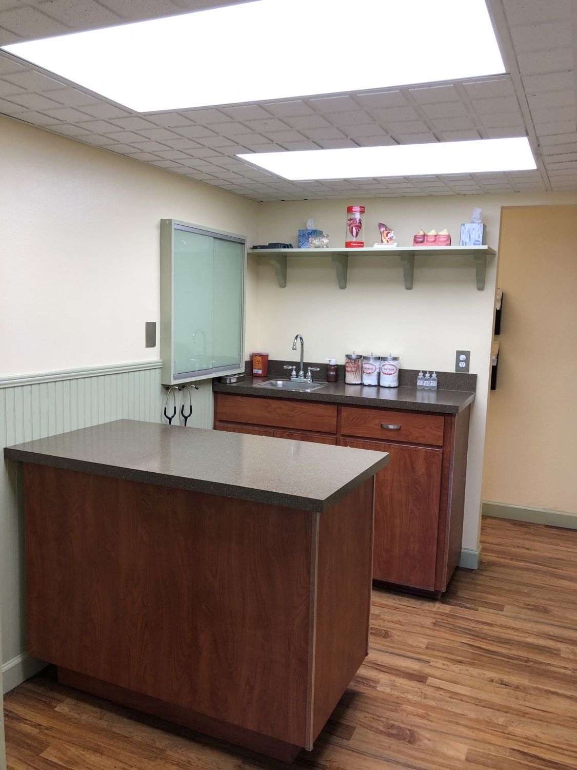 Pet First Animal Hospital - Veterinarian - Bradenton, FL - exam room