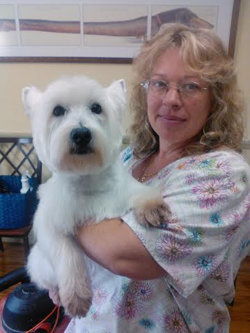 Pet First Animal Hospital - Veterinarian - Bradenton, FL 