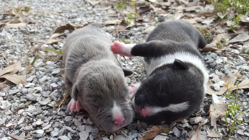 Sisters