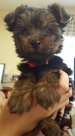 Dora is such a sweetie