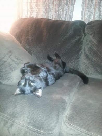 Franny is so relaxed