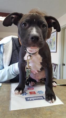 Look at this sweet face 